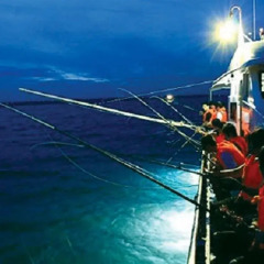 Отель Paragon Sancy Cruise бассейн