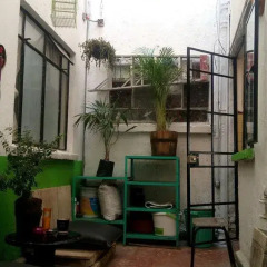Отель Casa Alucarda Мехико балкон