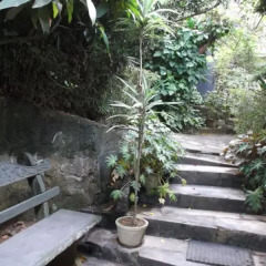 Hotel Green View Bandarawela фото 2