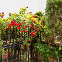Отель Guest J House Южная Корея, Сеул - отзывы, цены и фото номеров - забронировать отель Guest J House онлайн балкон