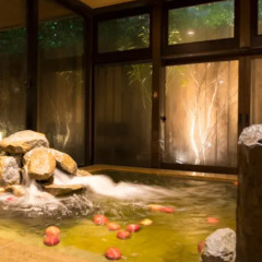 Отель Dormy Inn Tokyo-Hatchobori Natural Hot Spring фото 8