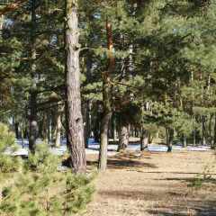 Апартаменты IRS ROYAL APARTMENTS Apartamenty IRS Neptun Park фитнесс-зал