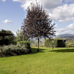 Отель Agriturismo Petrognano Реггелло фото 4