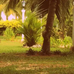 Отель Lagoon Paradise Шри-Ланка, Негомбо - отзывы, цены и фото номеров - забронировать отель Lagoon Paradise онлайн фото 2