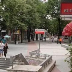 Отель Guest House Elit