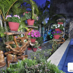 Отель Royal Penguin Boutique Hotel Непал, Катманду - отзывы, цены и фото номеров - забронировать отель Royal Penguin Boutique Hotel онлайн фото 2