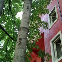 Отель Red Bed & Breakfast фото 5