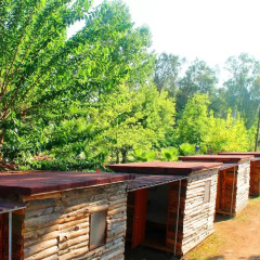 Medusa Camping Турция, Патара - отзывы, цены и фото номеров - забронировать отель Medusa Camping онлайн