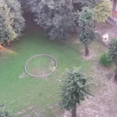 Отель B&B Chicca Stadio Olimpico с домашними животными