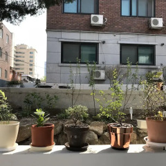Comet Guesthouse - Hostel Сеул помещение для мероприятий
