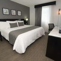 Casa Inn Business Hotel Mexico комната для гостей фото 5