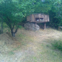 Отель Guest House Mush