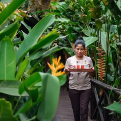 Отель Novotel Goa Resort and Spa Индия, Гоа - отзывы, цены и фото номеров - забронировать отель Novotel Goa Resort and Spa онлайн приотельная территория