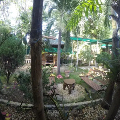 Отель DLucky Garden Inn Филиппины, Пуэрто-Принцеса - отзывы, цены и фото номеров - забронировать отель DLucky Garden Inn онлайн фото 7