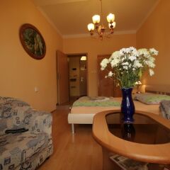 Отель Apartmany U Divadla Чехия, Карловы Вары - отзывы, цены и фото номеров - забронировать отель Apartmany U Divadla онлайн в номере