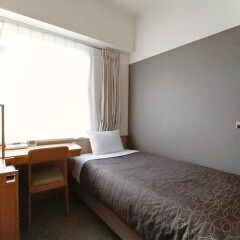 Tokyo Green Hotel Korakuen комната для гостей фото 4