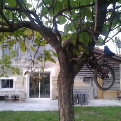 Отель Au Vélo dans l'Arbre Франция, Сент-Эмильон - отзывы, цены и фото номеров - забронировать отель Au Vélo dans l'Arbre онлайн фото 4