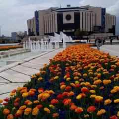 Отель Greek rooms in city centre развлечения