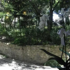 Отель OMAR SULTAN TAKSİM детские мероприятия