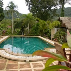 Отель Frog and Catfish Country Inn Krabi бассейн фото 3