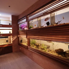 Отель 1775 Adriatico Suites Филиппины, Манила - отзывы, цены и фото номеров - забронировать отель 1775 Adriatico Suites онлайн спа фото 2
