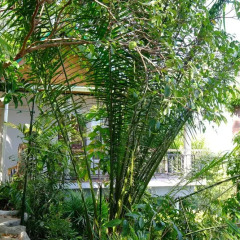 Отель Sanggaou Bungalows Ланта фото 2