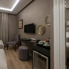 Le Petit Palace Hotel Турция, Стамбул - 4 отзыва об отеле, цены и фото номеров - забронировать отель Le Petit Palace Hotel онлайн удобства в номере