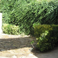 Отель Casa Amarela Óbidos