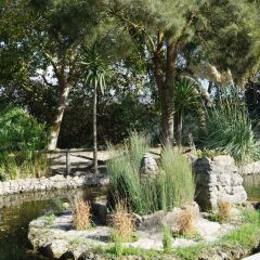 Отель Quinta da Azenha фото 18