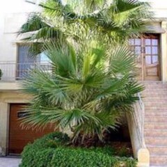 Отель Villa Darta Jeffrey