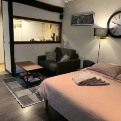 Апартаменты Lovely studio heart of Le Marais Париж комната для гостей фото 2