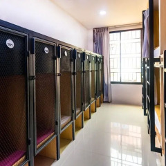 18 Coins Cafe & Hostel интерьер отеля фото 3