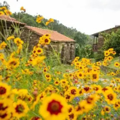 Отель Quinta Da Rabaçosa - Turismo Rural Кастро-Дайре помещение для мероприятий
