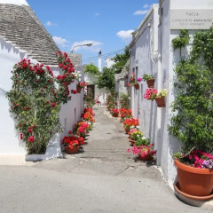 Отель Suite del Vico Альберобелло помещение для мероприятий