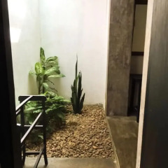 Отель Turtles Rest and Curry Bowl ванная