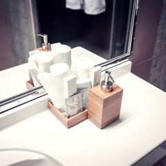 Гостиница Park hotel Shishka в Новосибирске отзывы, цены и фото номеров - забронировать гостиницу Park hotel Shishka онлайн Новосибирск ванная