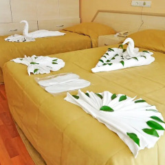 Egeria Park Hotel в номере