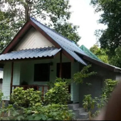 Отель Flower Resort развлечения