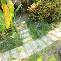 Отель An Bang Sunrise Beach Bungalow фото 14