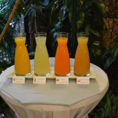 Отель Papadopoli Venezia MGallery by Sofitel Италия, Венеция - отзывы, цены и фото номеров - забронировать отель Papadopoli Venezia MGallery by Sofitel онлайн бассейн
