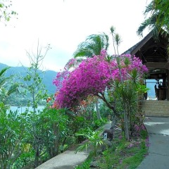 Отель Keikahanui Nuku Hiva Pearl Lodge Французская Полинезия, Нуку-Хива - отзывы, цены и фото номеров - забронировать отель Keikahanui Nuku Hiva Pearl Lodge онлайн