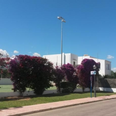 Hotel Cala d'Or Gardens спортивное сооружение