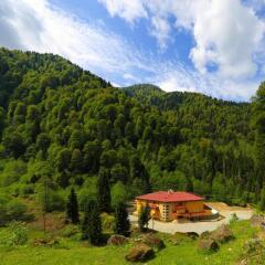 Kaçkar Resort Hotel Турция, Чамлыхемшин - отзывы, цены и фото номеров - забронировать отель Kaçkar Resort Hotel онлайн фото 4