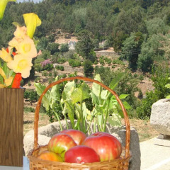 Отель Quinta de VillaSete детские мероприятия