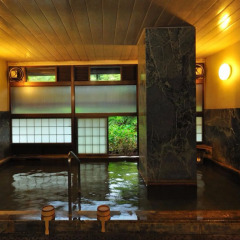 Отель Yamabiko Ryokan Минамиогуни бассейн