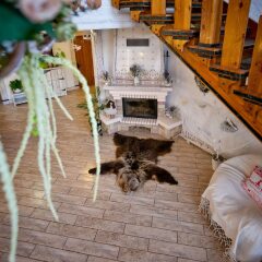 Гостиница Медвежий угол фото 4