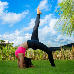 Санаторий The LifeCo Phuket Well-Being Detox Center фитнесс-зал фото 2