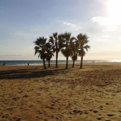 Отель Camping Vendrell Platja пляж