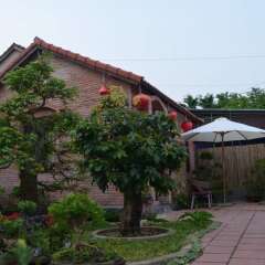 Отель The Grass Vy Homestay Хойан фото 6
