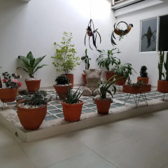 Отель Hostal Boutique La Mercedes фото 2